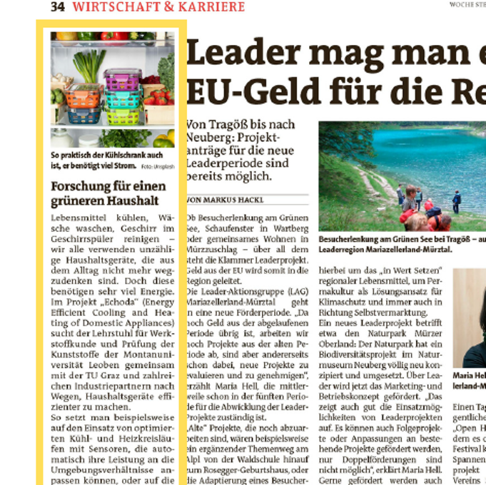 Forschung für einen grünen Haushalt